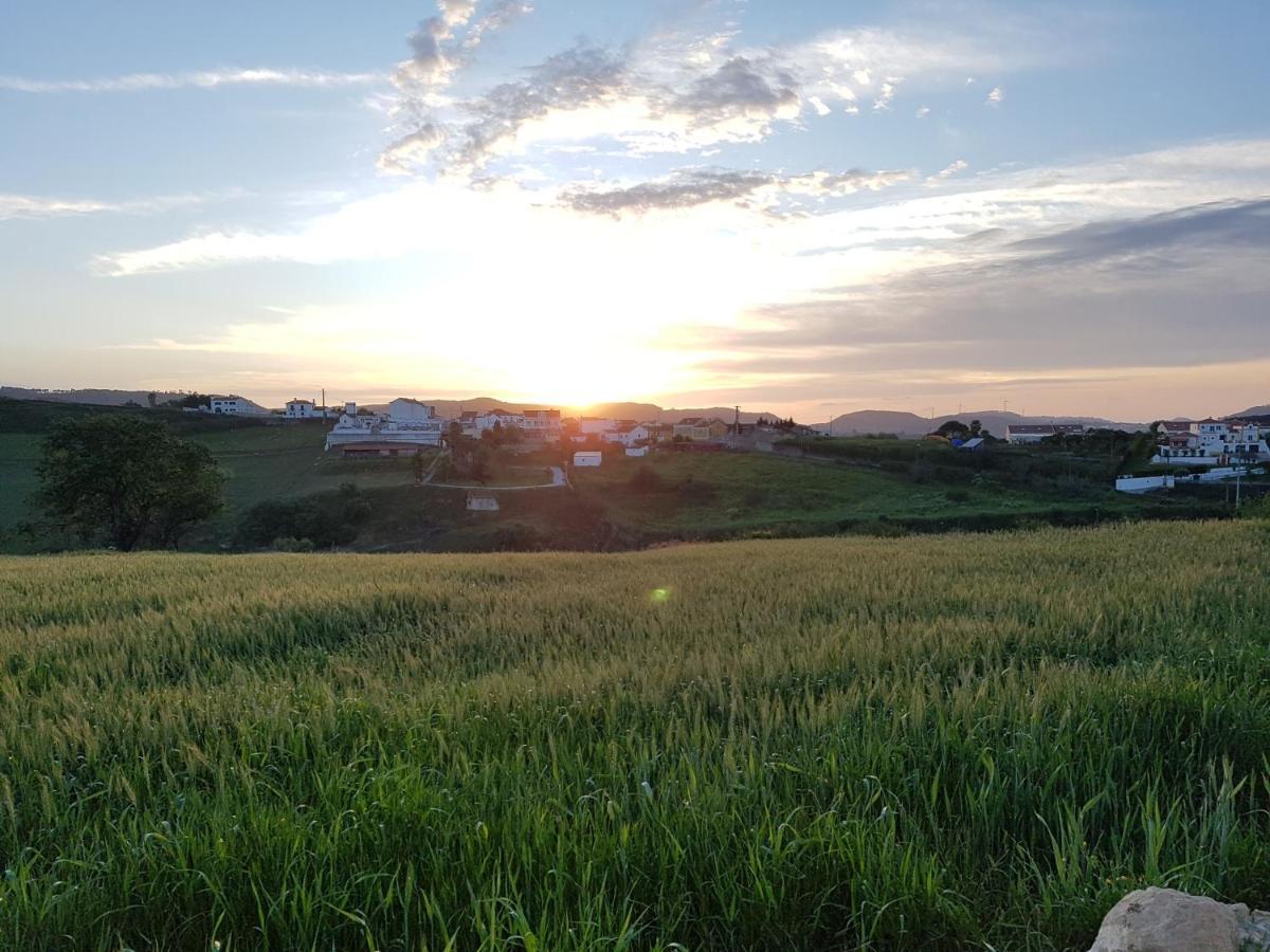 فيلا Casa Da Caroleira Pacos  المظهر الخارجي الصورة