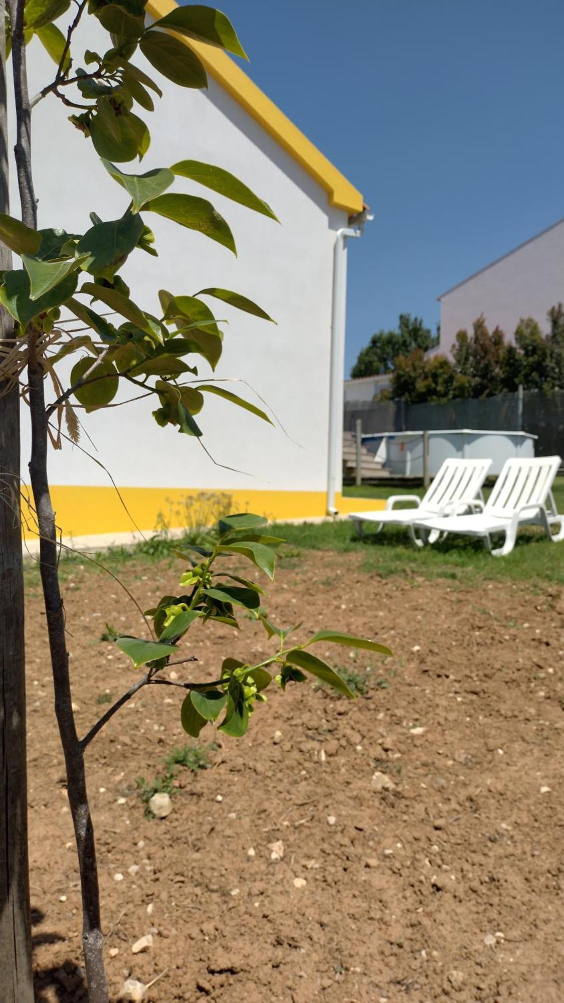 فيلا Casa Da Caroleira Pacos  المظهر الخارجي الصورة